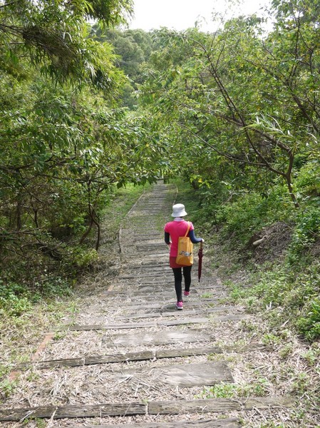 青青草原:新竹-青青草原