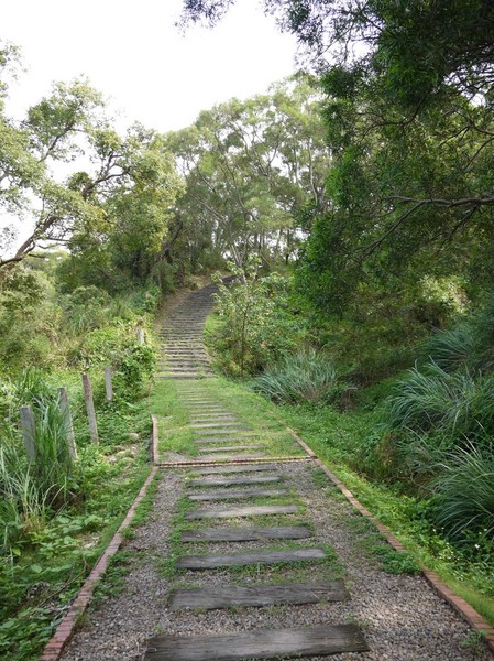 青青草原:新竹-青青草原
