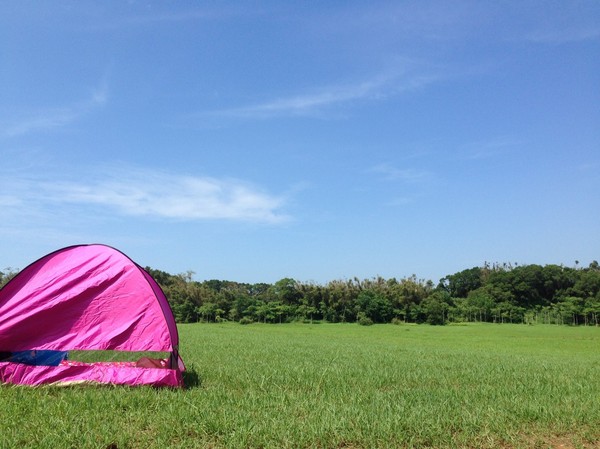 青青草原:新竹-青青草原