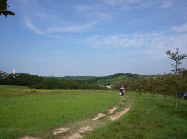 青青草原:新竹-青青草原