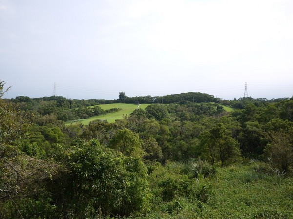青青草原:新竹-青青草原