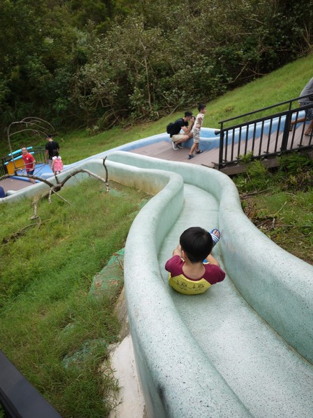 青青草原:新竹-青青草原