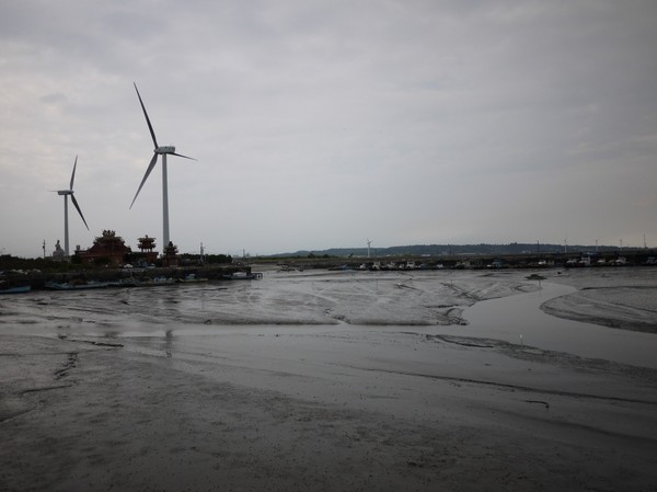 青青草原:新竹-青青草原