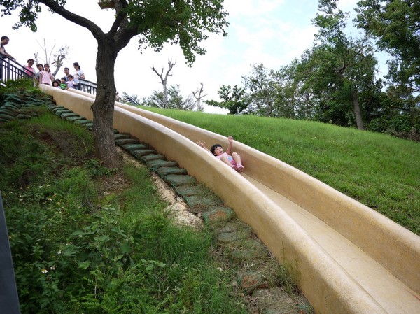 青青草原:新竹-青青草原