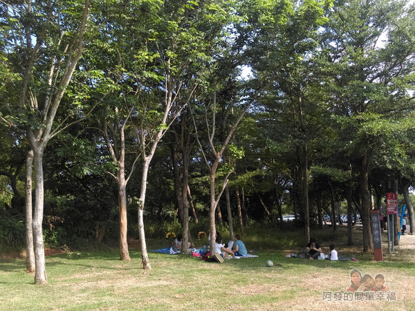 青青草原02-入口旁林蔭下