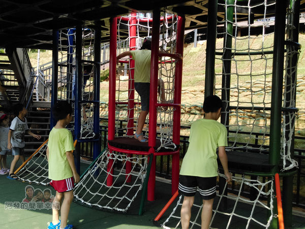 青青草原14-雙層觀景遊戲平台-探險樹屋