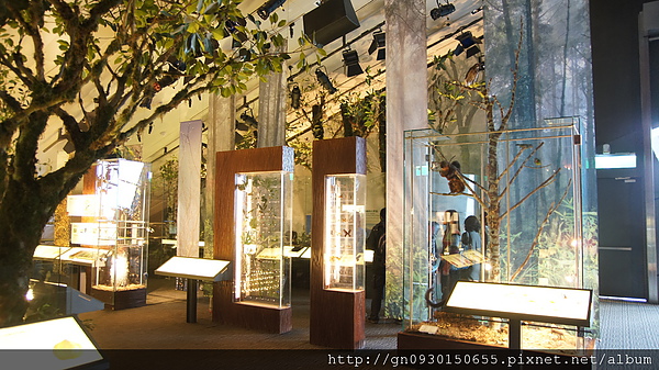 蘭陽博物館：蘭陽博物館