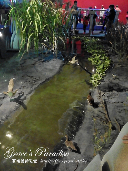 2015-04-11 13.01.15_nEO_IMG.jpg