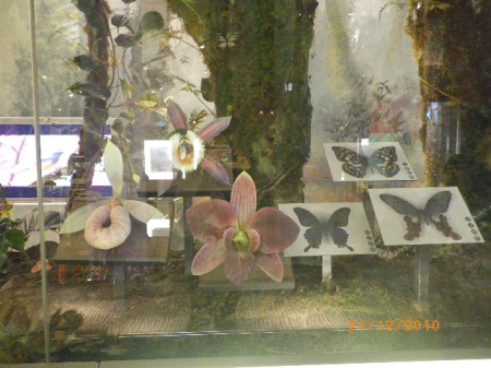 蘭陽博物館:像極了影城的【蘭陽博物館】