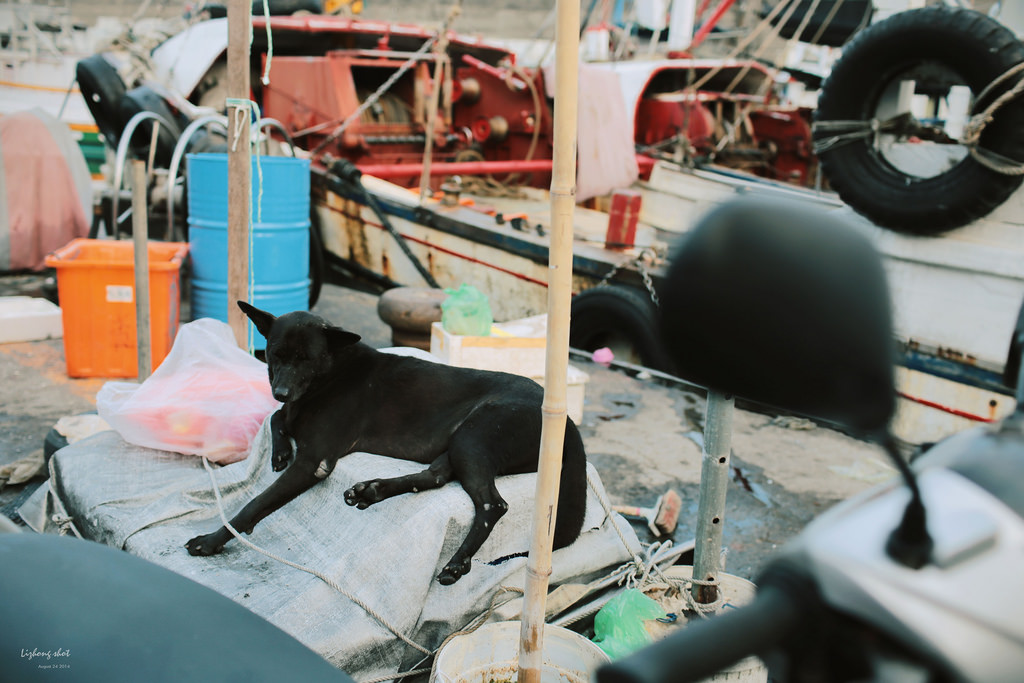那個宜蘭半日悠遊