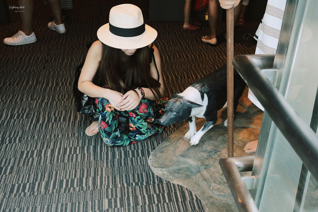 那個宜蘭半日悠遊