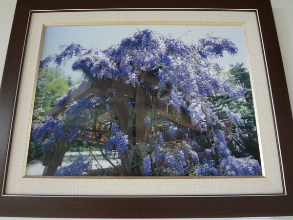 cm20130929___ac0b281e1758bb6b18ff7e862be