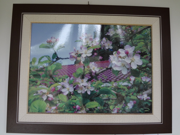 cm20130929___5c4fb55ea903ad98aad2372e4a6