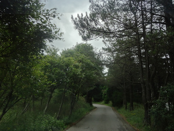 cm20130929___94e37fa43cd6891ca98b5601923