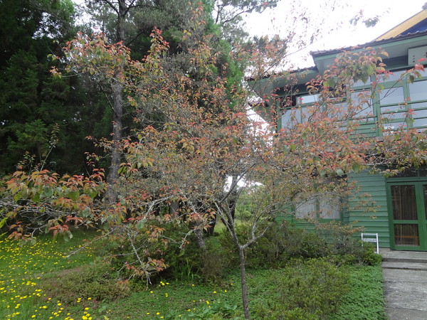 cm20130929___41823df8d26ad0c3de344dd61b7