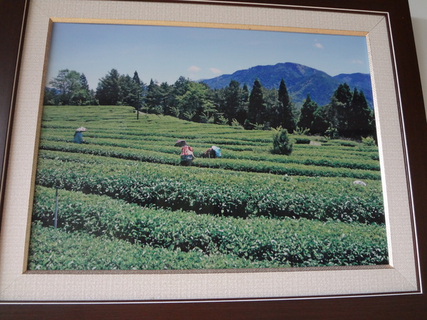 cm20130929___3d327efdf7e9cc5df9c43935db3