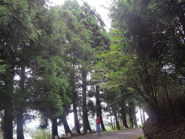 cm20130929___d52c423752ce25bd21813b3f28c