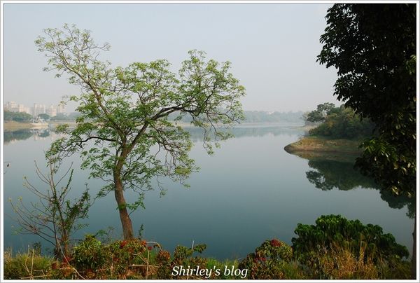 蘭潭水庫:嘉義‧蘭潭風景區