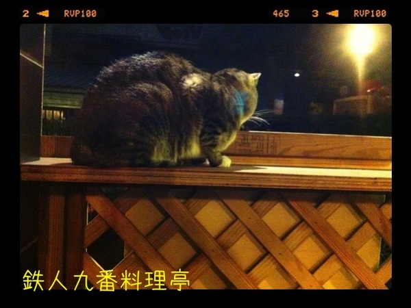 鐵人九番料理亭：［哈哈愛美食］東區平價好料理..Ｎ訪吃不膩！！！＠鐵人九番料理亭～～