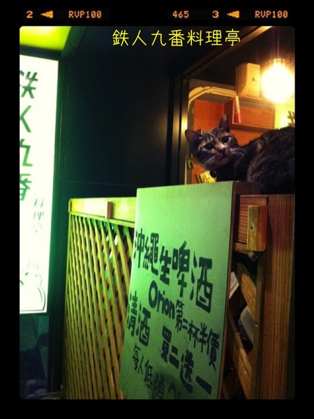 鐵人九番料理亭：［哈哈愛美食］東區平價好料理..Ｎ訪吃不膩！！！＠鐵人九番料理亭～～