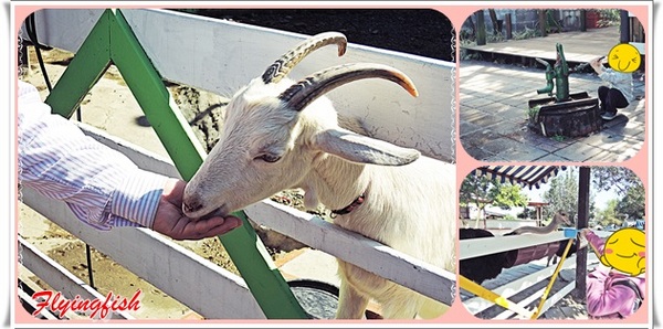 幸福20號農場：✜ 2014寒假宜蘭三天兩夜輕旅行: 讓大、小朋友都感到幸福滿懷滴歡樂製造器－宜蘭「幸福20號農場」>m<