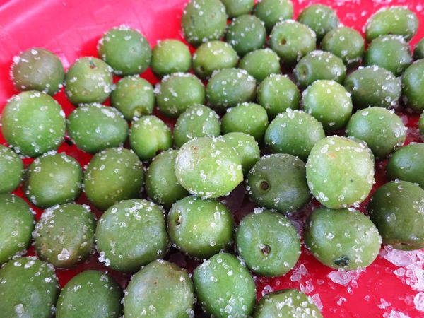 【台北旅遊】鶯歌陶瓷博物館梅子DIY老街一日遊