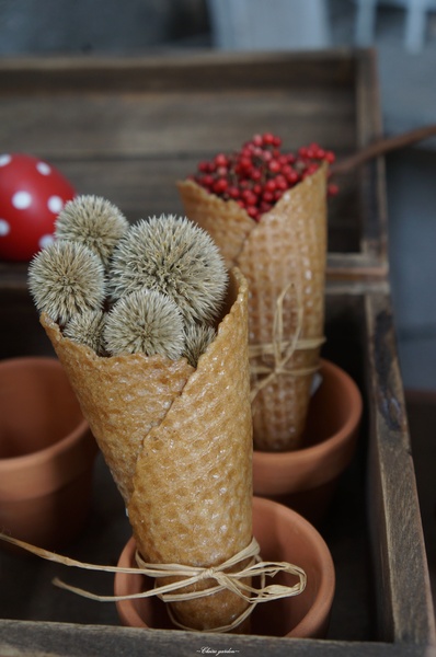 府中街：[2015台南行]中西區 府中街~小巷亂闖之發現文藝新景點