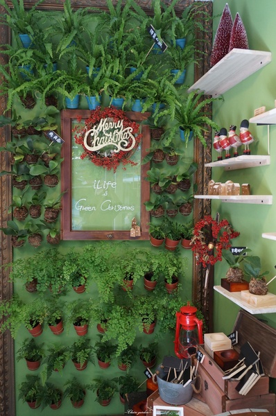 府中街：[2015台南行]中西區 府中街~小巷亂闖之發現文藝新景點