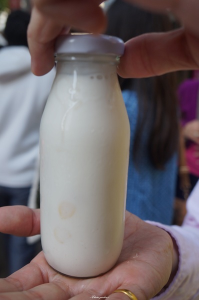 府中街：[2015台南行]中西區 府中街~小巷亂闖之發現文藝新景點