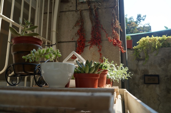 府中街：[2015台南行]中西區 府中街~小巷亂闖之發現文藝新景點