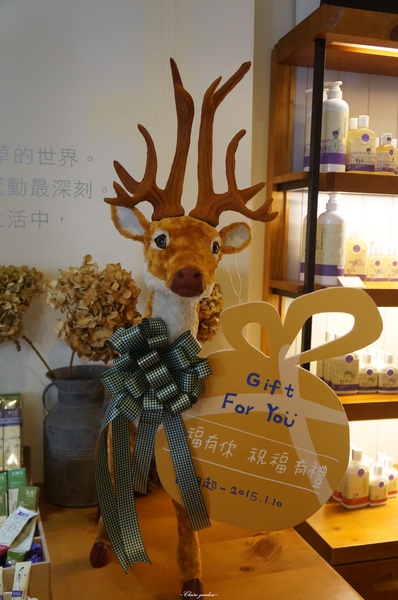 府中街：[2015台南行]中西區 府中街~小巷亂闖之發現文藝新景點