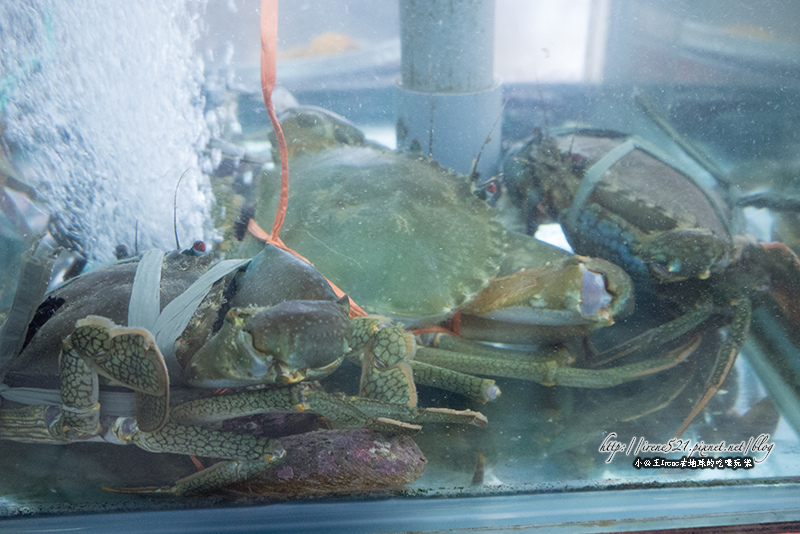 14.02.03-桃園竹圍漁港