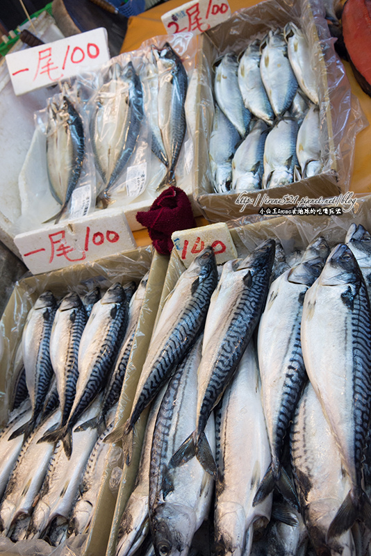 14.02.03-桃園竹圍漁港