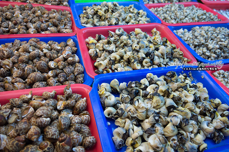 14.02.03-桃園竹圍漁港