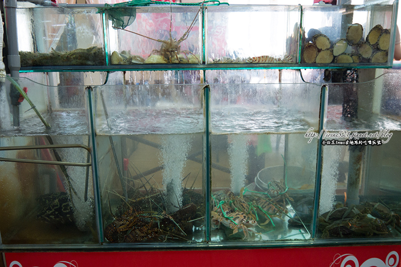 14.02.03-桃園竹圍漁港