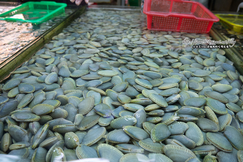 14.02.03-桃園竹圍漁港