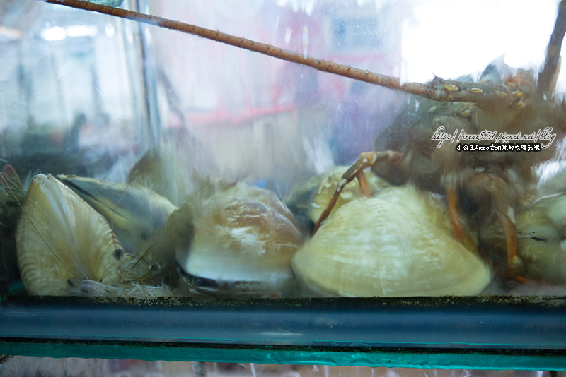 14.02.03-桃園竹圍漁港