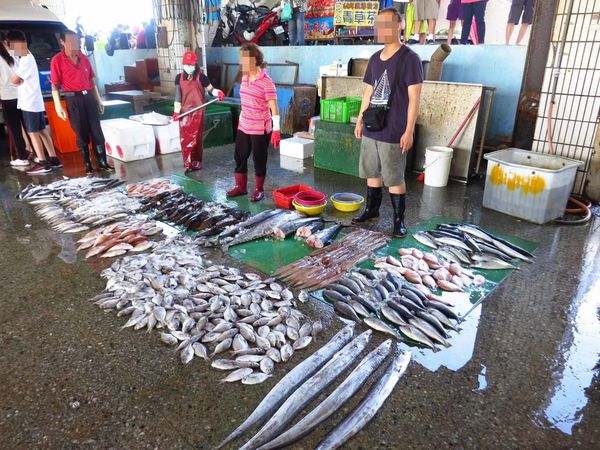 【桃園旅遊】竹圍漁港一日遊-超大新鮮海產與眺望飛機降落