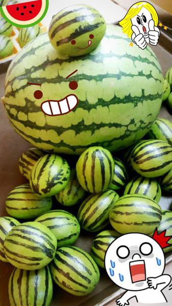 11998954_1078905218786728_3640259074028732317_n