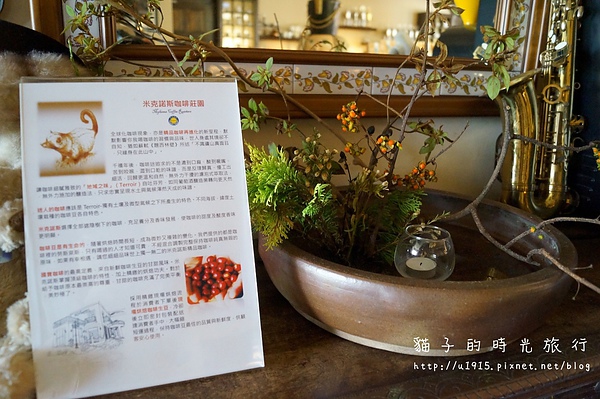 DSC07121 (1280x851).jpg