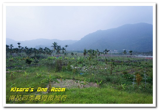 日月潭頭社活盆地休閒農業區:繞著南投跑.四季農遊微旅行.之二/活盆地、彩繪村與阿嬤洗衣場、水里鵲橋