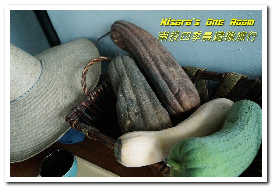 日月潭頭社活盆地休閒農業區:繞著南投跑.四季農遊微旅行.之二/活盆地、彩繪村與阿嬤洗衣場、水里鵲橋