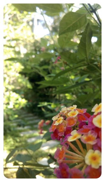 1030620-墾丁凱撒-01