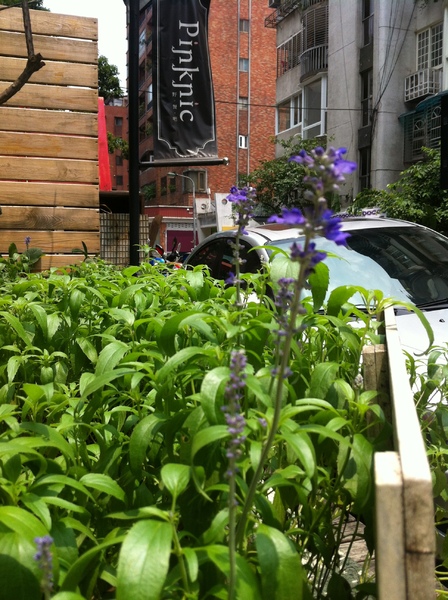 Pinknic 野餐吧：環境優雅殺底片-pinknic 野餐吧