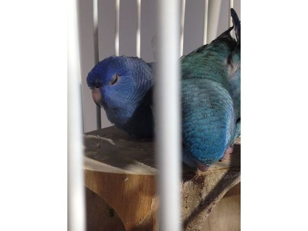 u*ki smile coffee:【食記】o○。oO。台北 東區u*ki smile coffeeo○。o。○