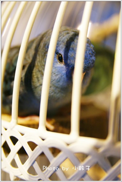 u*ki smile coffee:『u*ki smile coffee』輕鬆下午茶