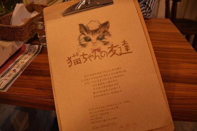 貓咪先生的朋友13