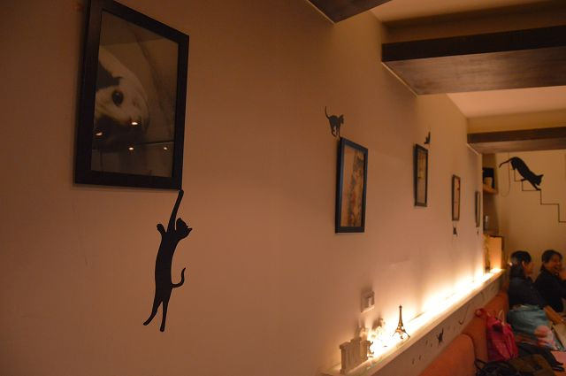 貓咪先生的朋友39