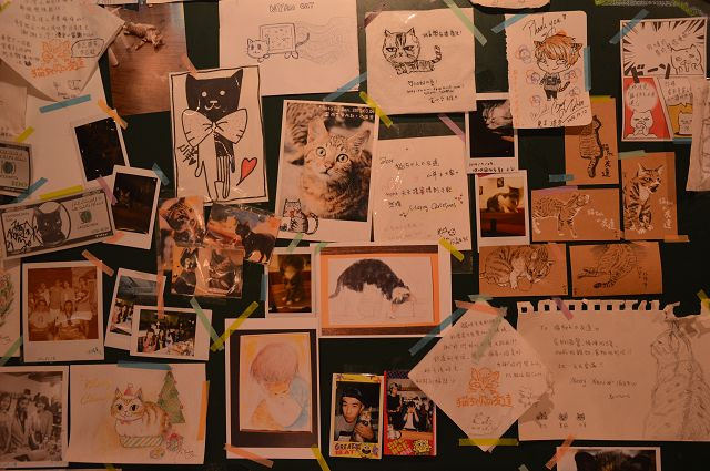 貓咪先生的朋友09