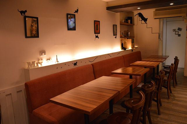 貓咪先生的朋友51